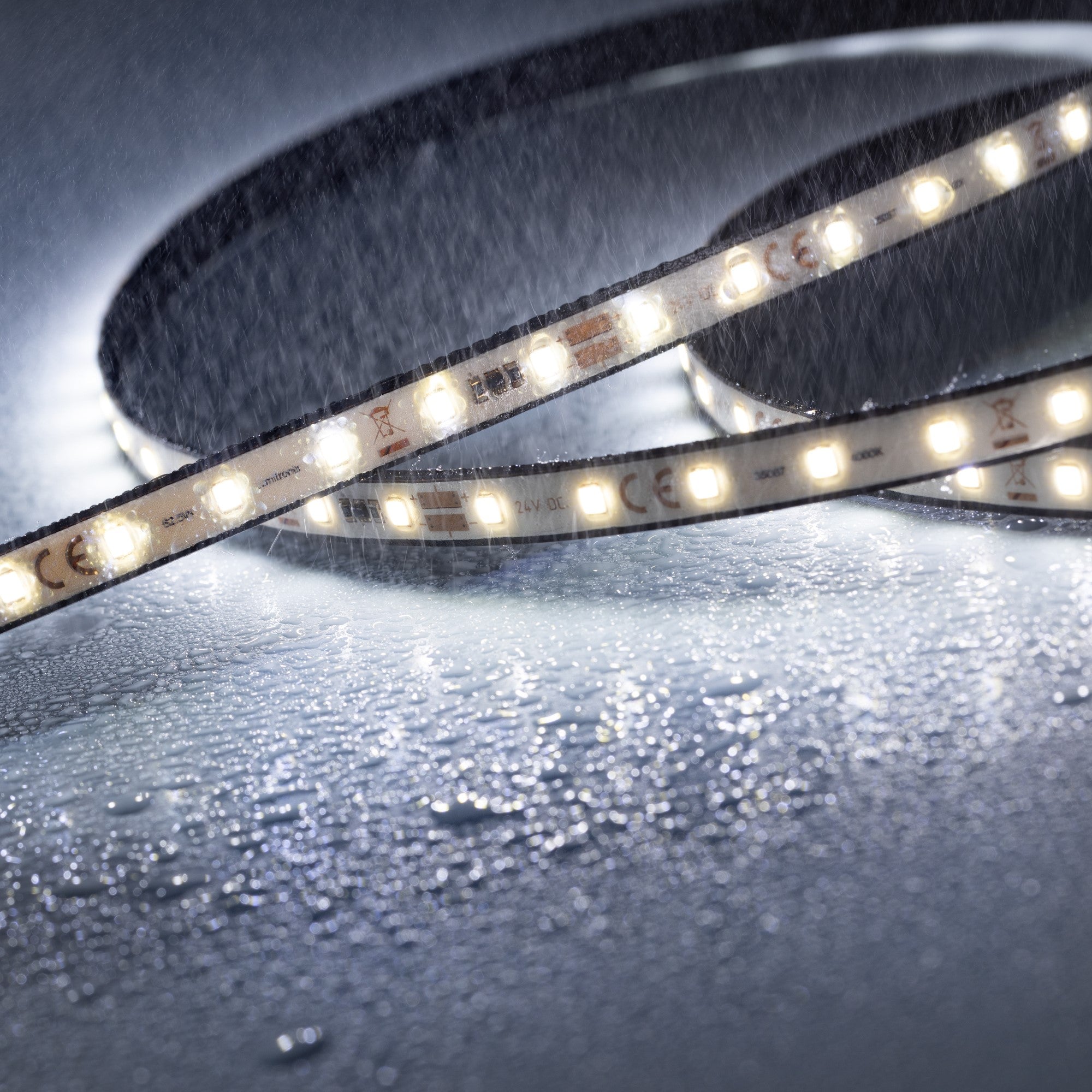 LumiFlex350 Pro LED Strip LumProtect Warm White 2900K CRI90 1710lm 24V 18.7W 70 LEDs/m 1.5m - view 3